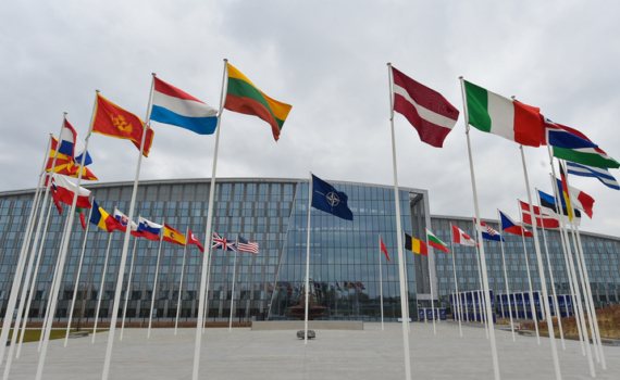 Россия не допустит скоропалительных решений по Украине, невзирая на давление Трампа