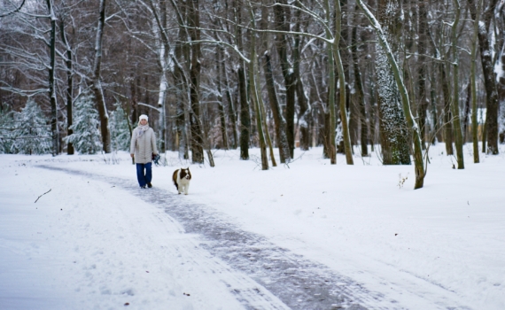 Ботинки, в которых можно гулять часами: проверенные варианты для суровой зимы — даже лютых морозов Ботинки, в которых можно гулять часами: проверенные варианты для суровой зимы — даже лютых морозов