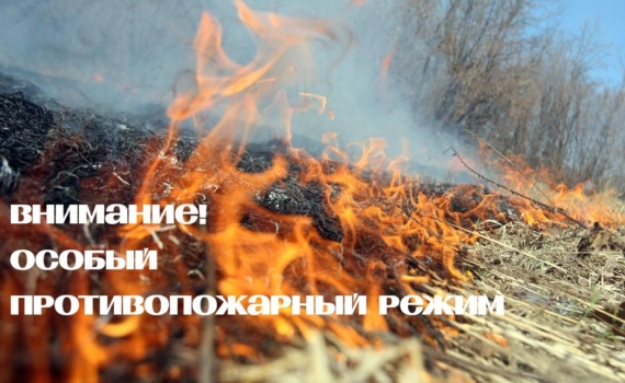 Губернатор Владимир Мазур установил особый противопожарный режим на всей территории Томской области Губернатор Владимир Мазур установил особый противопожарный режим на всей территории Томской области